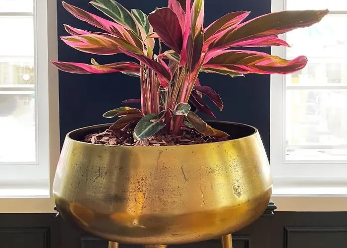 Hotel Boutique-hotel Stadtvilla Hodes